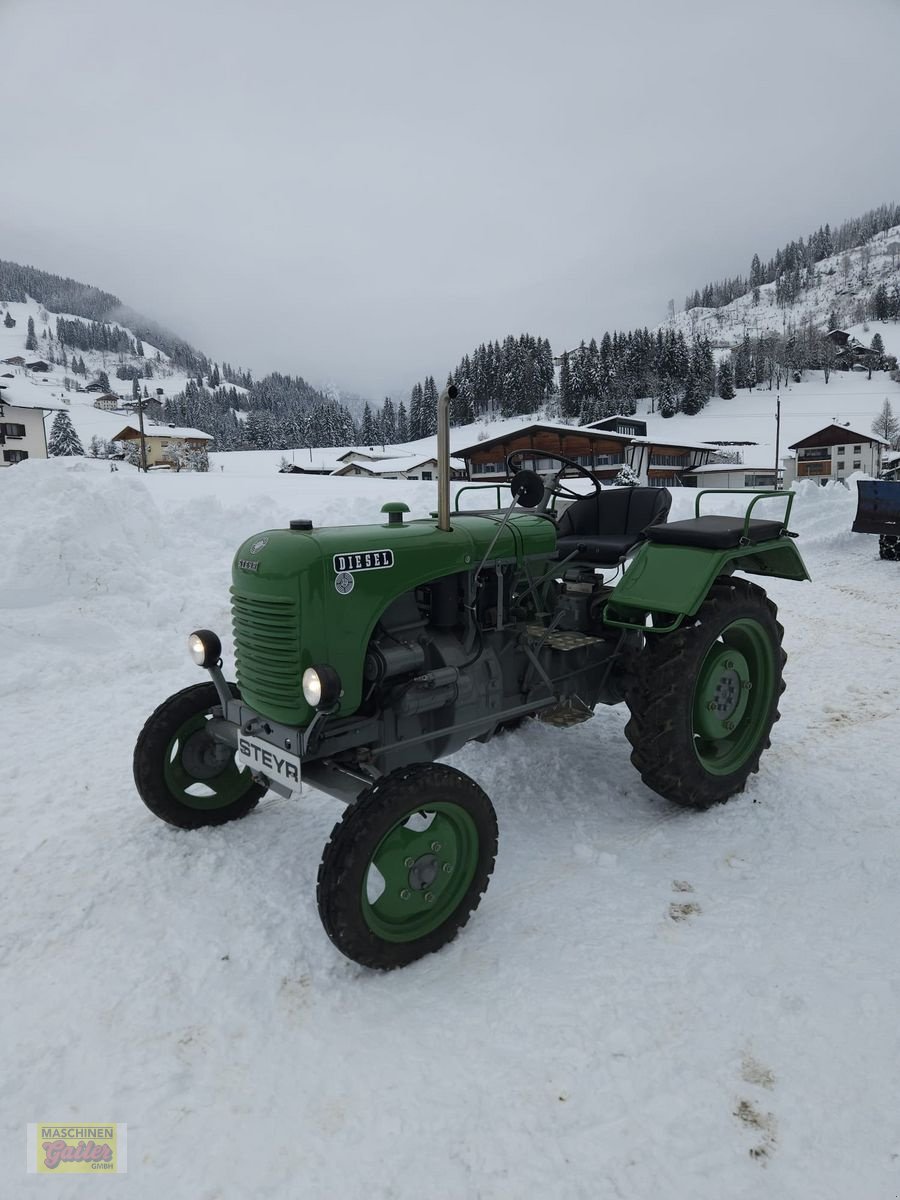 Oldtimer-Traktor от тип Steyr 80, Gebrauchtmaschine в Kötschach (Снимка 2)