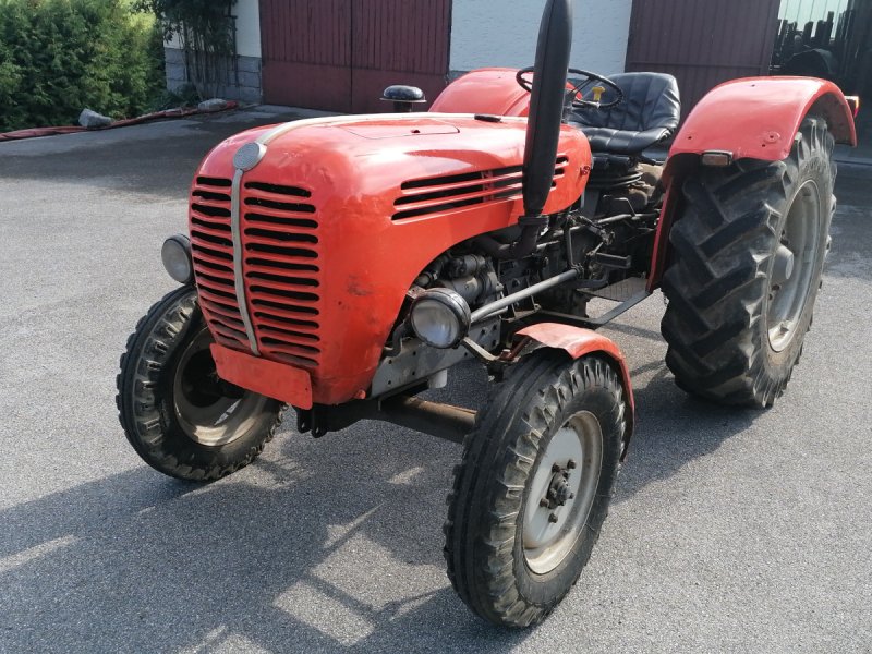 Oldtimer-Traktor des Typs Steyr T190, Gebrauchtmaschine in Helfenberg (Bild 1)