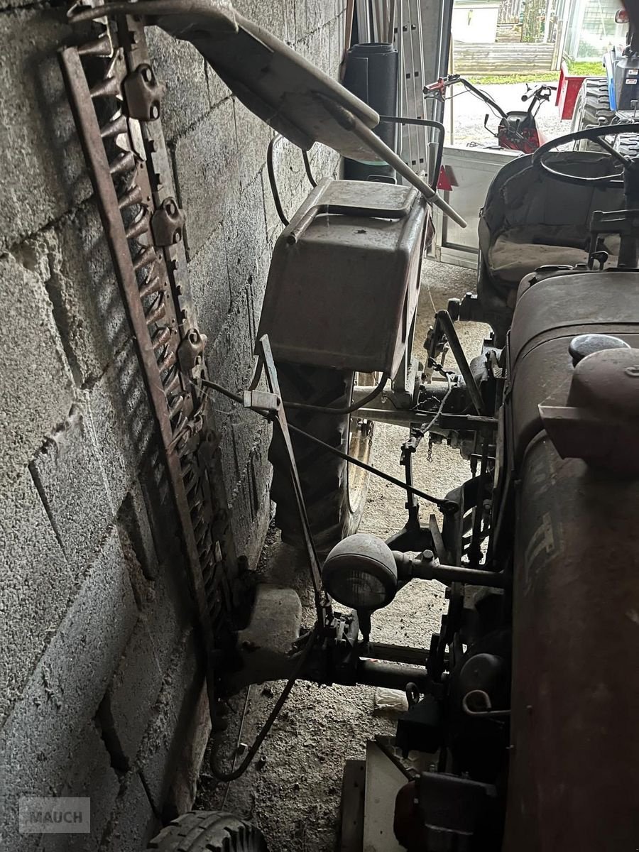 Oldtimer-Traktor za tip Steyr T84, Gebrauchtmaschine u Burgkirchen (Slika 7)