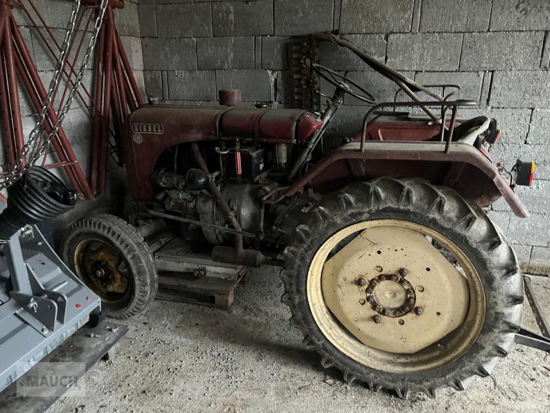 Oldtimer-Traktor za tip Steyr T84, Gebrauchtmaschine u Burgkirchen (Slika 1)