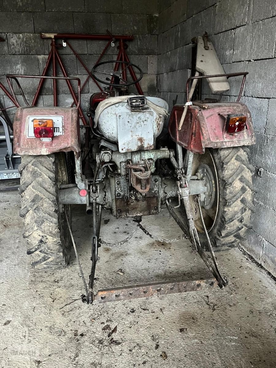 Oldtimer-Traktor za tip Steyr T84, Gebrauchtmaschine u Burgkirchen (Slika 6)