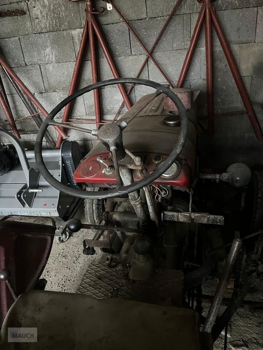 Oldtimer-Traktor za tip Steyr T84, Gebrauchtmaschine u Burgkirchen (Slika 5)