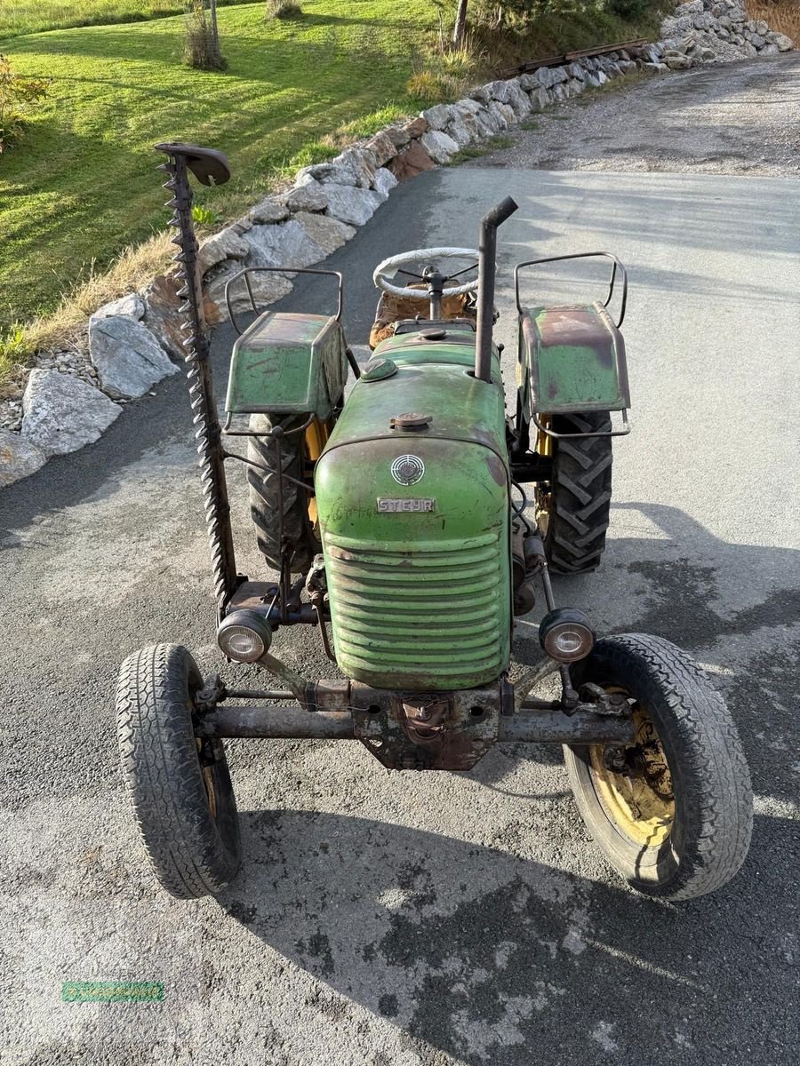 Oldtimer-Traktor del tipo Steyr Typ 80, Gebrauchtmaschine In Hartberg (Immagine 3)