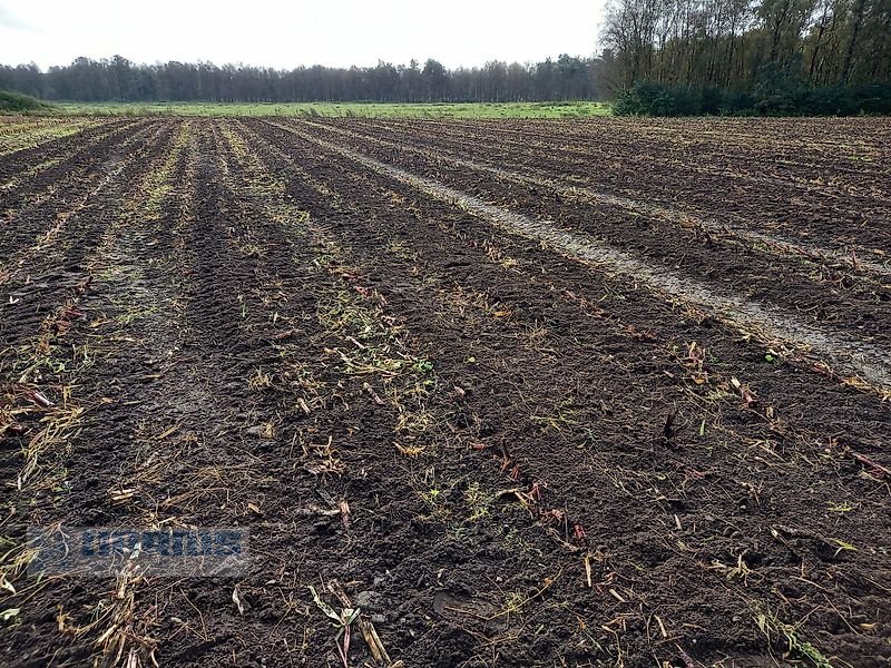 Packer & Walze des Typs Agroland Messerwalze PWN 530, Neumaschine in Sassenholz (Bild 11)