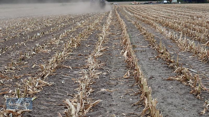 Packer & Walze tipa AgroXX AgroXX SlashCut --Tandem-Messerwalze 5.0m Hydro mit Lenkbock -, Vorführmaschine u Ennigerloh (Slika 25)