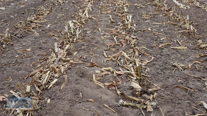 Packer & Walze tipa AgroXX AgroXX SlashCut --Tandem-Messerwalze 5.0m Hydro mit Lenkbock -, Vorführmaschine u Ennigerloh (Slika 23)