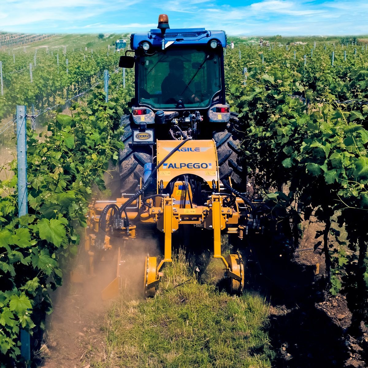 Packer & Walze van het type Alpego ALPEGO-Partner, Gebrauchtmaschine in Harmannsdorf (Foto 5)