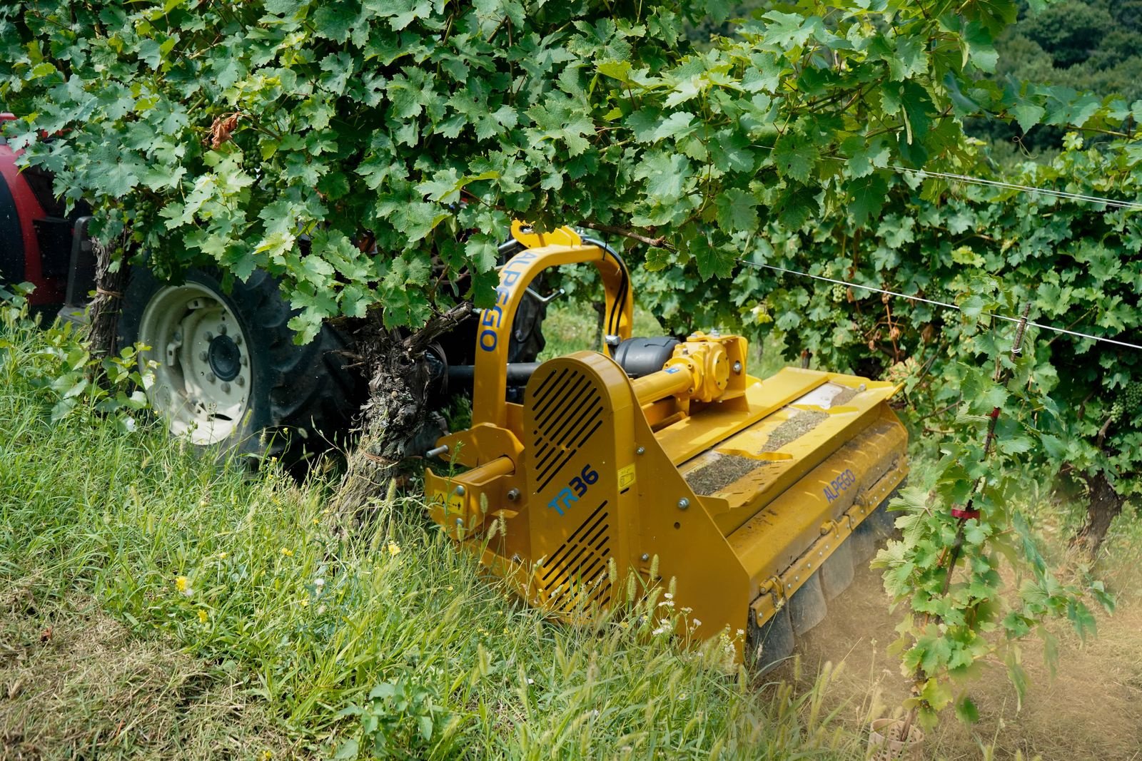 Packer & Walze van het type Alpego ALPEGO-Partner, Gebrauchtmaschine in Harmannsdorf (Foto 4)