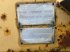 Packer & Walze tipa Caterpillar CS-563 AW, Gebrauchtmaschine u Antwerpen (Slika 11)