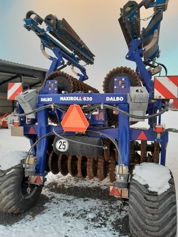 Packer & Walze del tipo Dal Cero MaxiRoll 630 60 cm Cross Combi Boogie Ringen, Gebrauchtmaschine In Bad Freienwalde (Immagine 3)