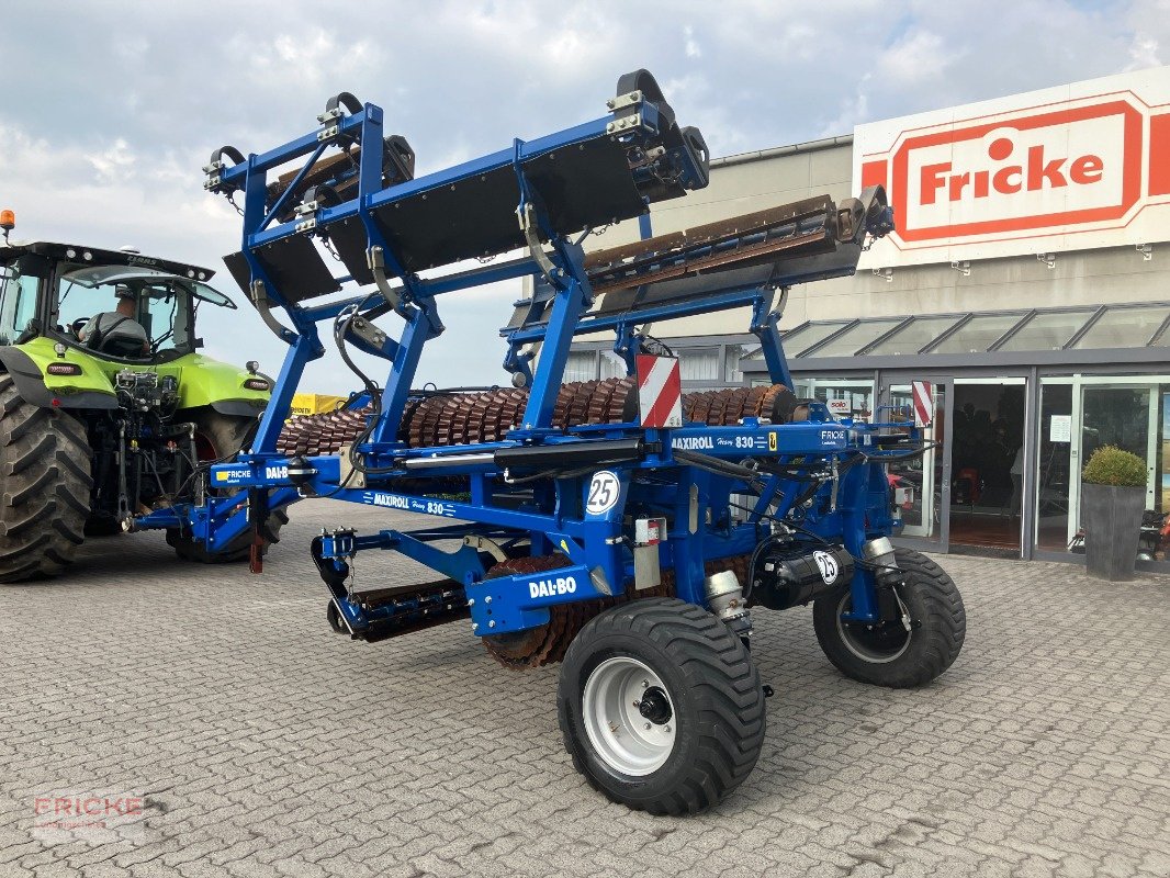 Packer & Walze типа Dal Cero MaxiRoll Heavy 830, Gebrauchtmaschine в Demmin (Фотография 14)