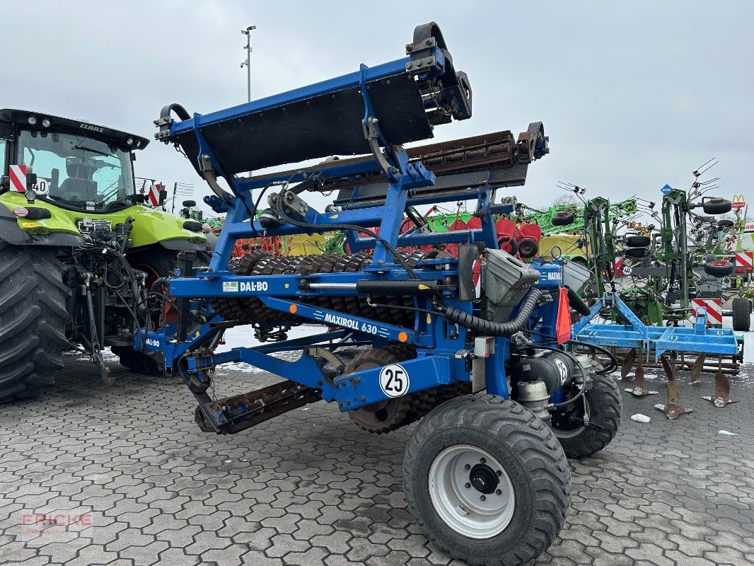 Packer & Walze del tipo Dalbo Maxiroll 630, Gebrauchtmaschine en Bockel - Gyhum (Imagen 4)