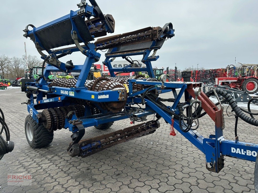 Packer & Walze del tipo Dalbo Maxiroll 630, Gebrauchtmaschine en Bockel - Gyhum (Imagen 6)