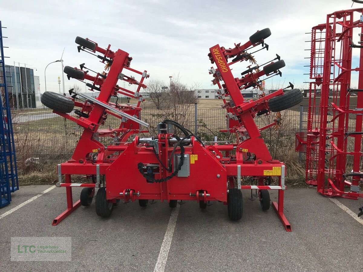 Packer & Walze del tipo Einböck Chopstar ERS 12-reihig Hackgerät, Gebrauchtmaschine en Eggendorf (Imagen 2)