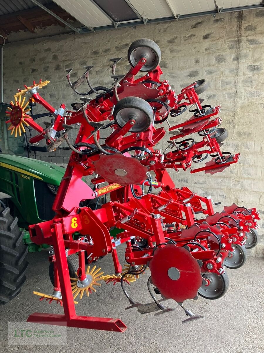 Packer & Walze of the type Einböck chopster 6r 75 Front, Gebrauchtmaschine in Eggendorf (Picture 4)