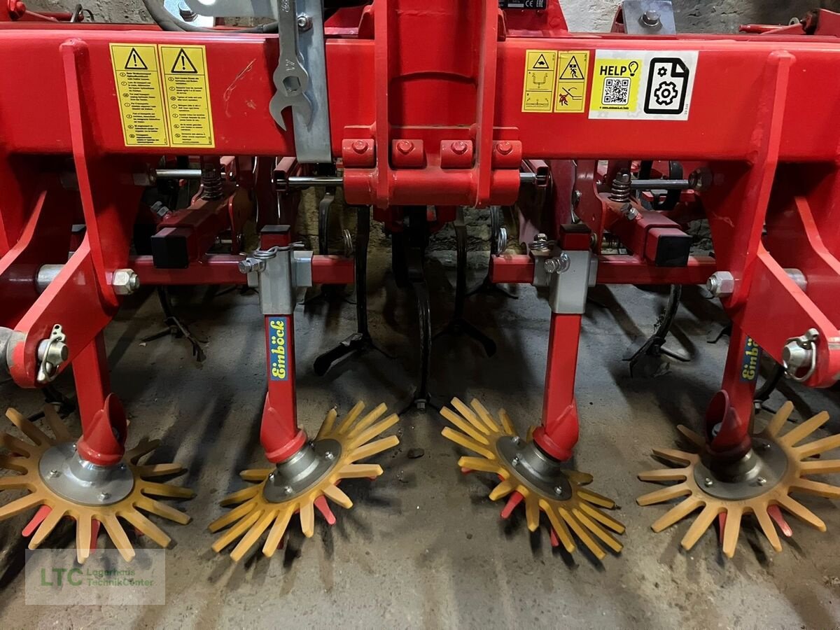 Packer & Walze of the type Einböck chopster 6r 75 Front, Gebrauchtmaschine in Eggendorf (Picture 9)