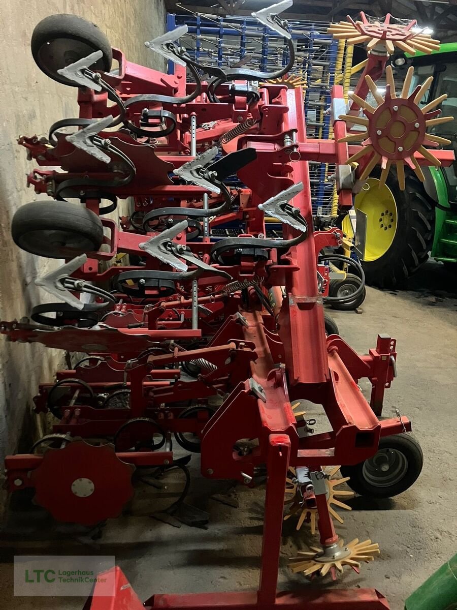 Packer & Walze of the type Einböck chopster 6r 75 Front, Gebrauchtmaschine in Eggendorf (Picture 5)