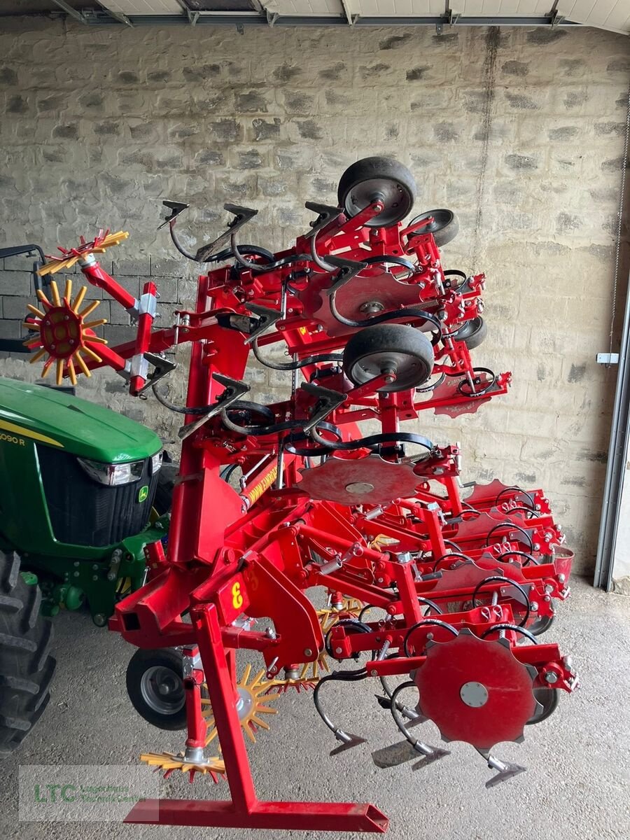 Packer & Walze of the type Einböck chopster 6r 75 Front, Gebrauchtmaschine in Eggendorf (Picture 3)