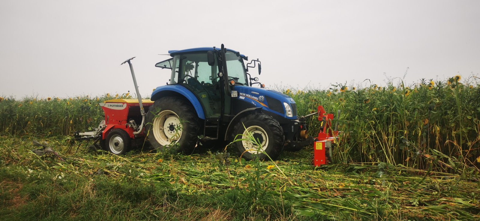 Packer & Walze typu Güttler Mediana, Gebrauchtmaschine v Beerbach (Obrázek 2)