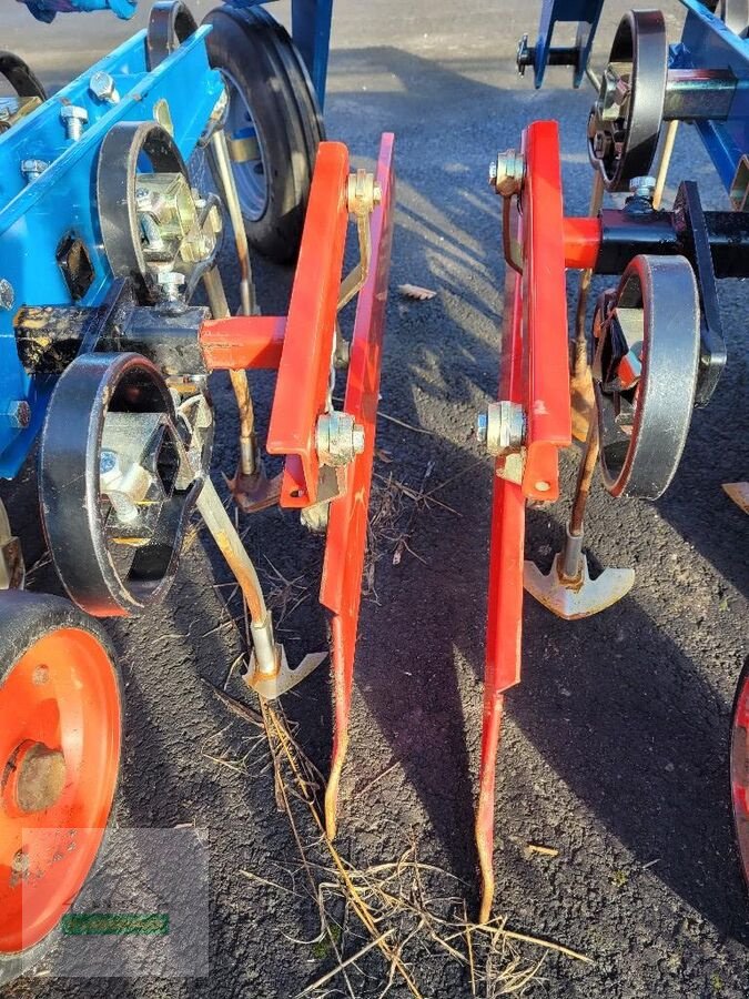 Packer & Walze типа Hatzenbichler Hackgerät 5-reihig, Gebrauchtmaschine в Gleisdorf (Фотография 3)