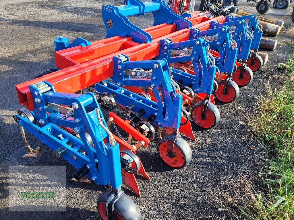 Packer & Walze типа Hatzenbichler Hackgerät 5-reihig, Gebrauchtmaschine в Gleisdorf (Фотография 1)