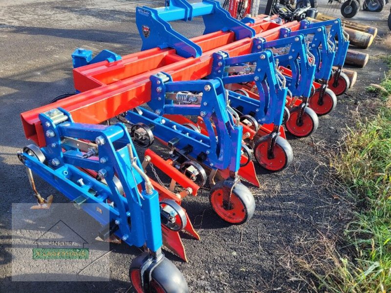 Packer & Walze des Typs Hatzenbichler Hackgerät 5-reihig, Gebrauchtmaschine in Gleisdorf (Bild 1)