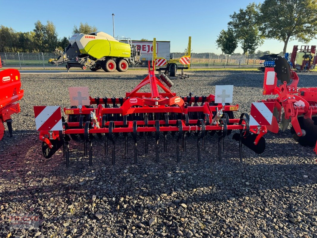 Packer & Walze van het type Maschio Planipack 50, Neumaschine in Bockel - Gyhum (Foto 1)