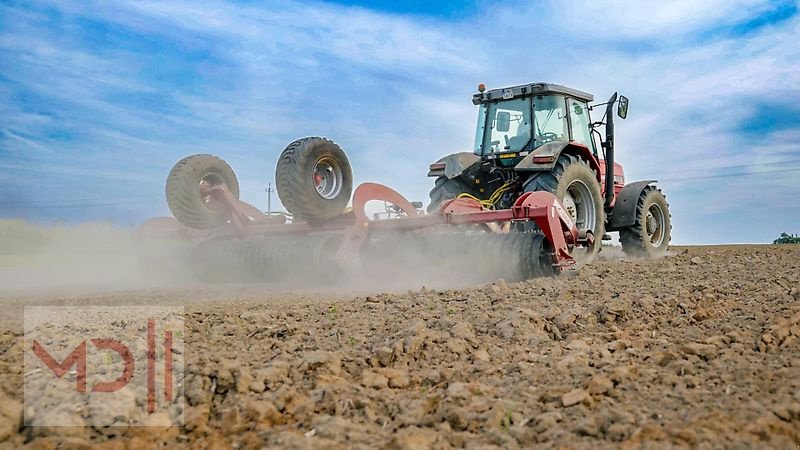 Packer & Walze des Typs MD Landmaschinen LU Cambridgewalze 4,5m- 5,0m-6,2m  mit 1 Zylinder, Neumaschine in Zeven (Bild 20)