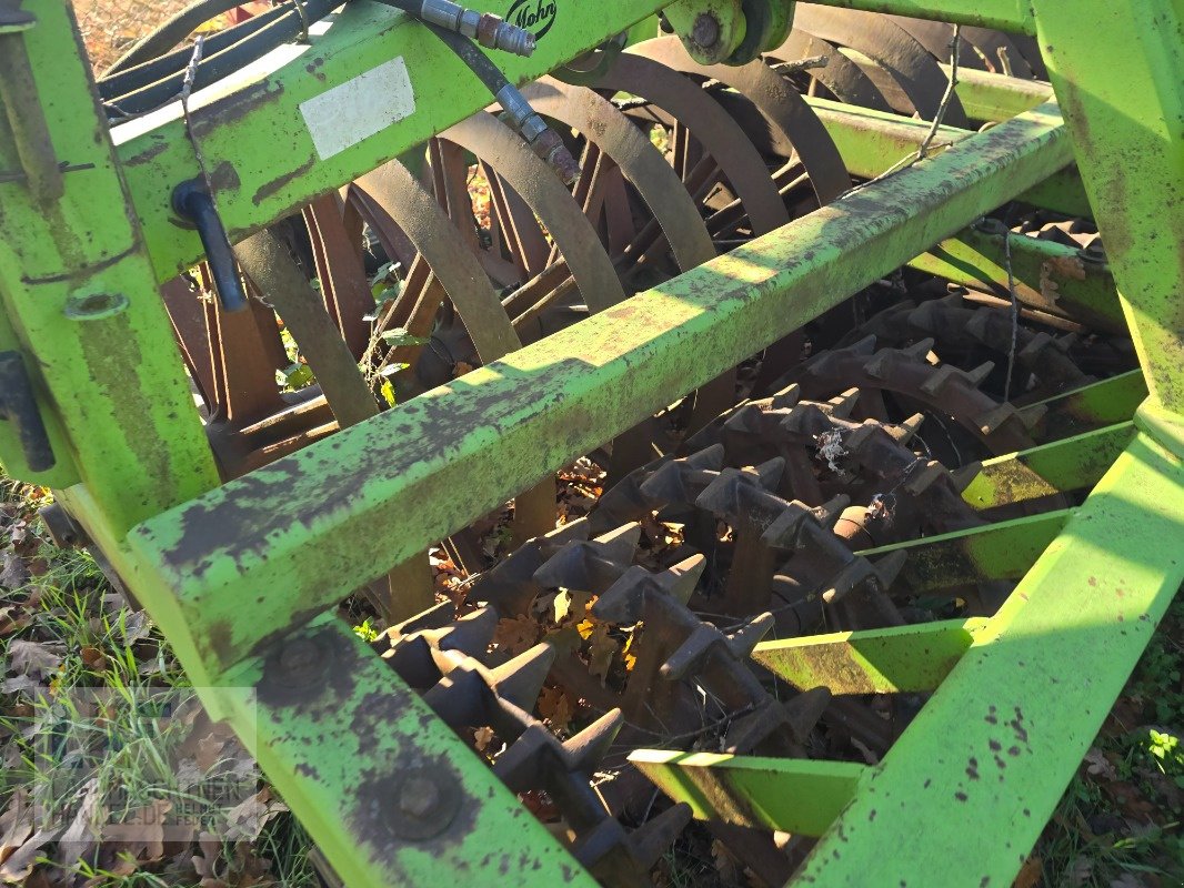 Packer & Walze Türe ait Mohn UP 929, Gebrauchtmaschine içinde Burg/Spreewald (resim 2)