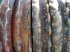 Packer & Walze tipa Quivogne Rollmax, Gebrauchtmaschine u Le Horps (Slika 9)