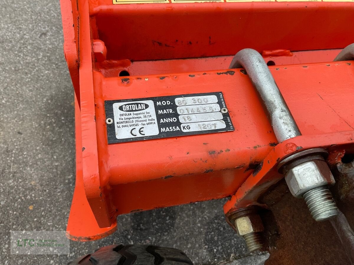 Packer & Walze typu Sonstige BC 300, Gebrauchtmaschine v Kalsdorf (Obrázek 10)