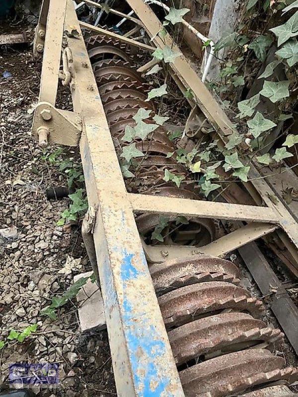 Packer & Walze des Typs Sonstige Cambridgewalze 250, Gebrauchtmaschine in Zweibrücken (Bild 3)