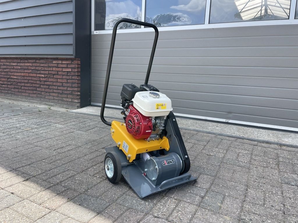 Packer & Walze des Typs Sonstige Giant GP1545G trilplaat NIEUW ACTIE prijs, Neumaschine in Neer (Bild 10)