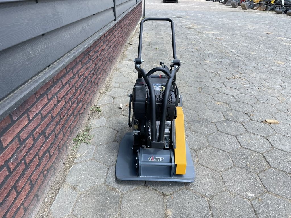 Packer & Walze des Typs Sonstige Giant GP2155D trilplaat NIEUW, Neumaschine in Neer (Bild 5)