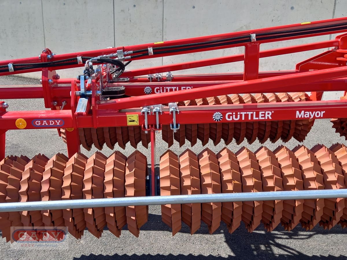 Packer & Walze des Typs Sonstige MAYOR 640-4, Neumaschine in Lebring (Bild 9)