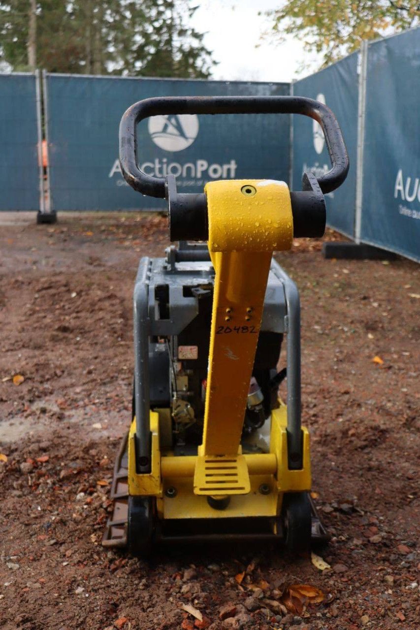 Packer & Walze del tipo Sonstige Neuson DP&Uuml;3760, Gebrauchtmaschine In Antwerpen (Immagine 4)