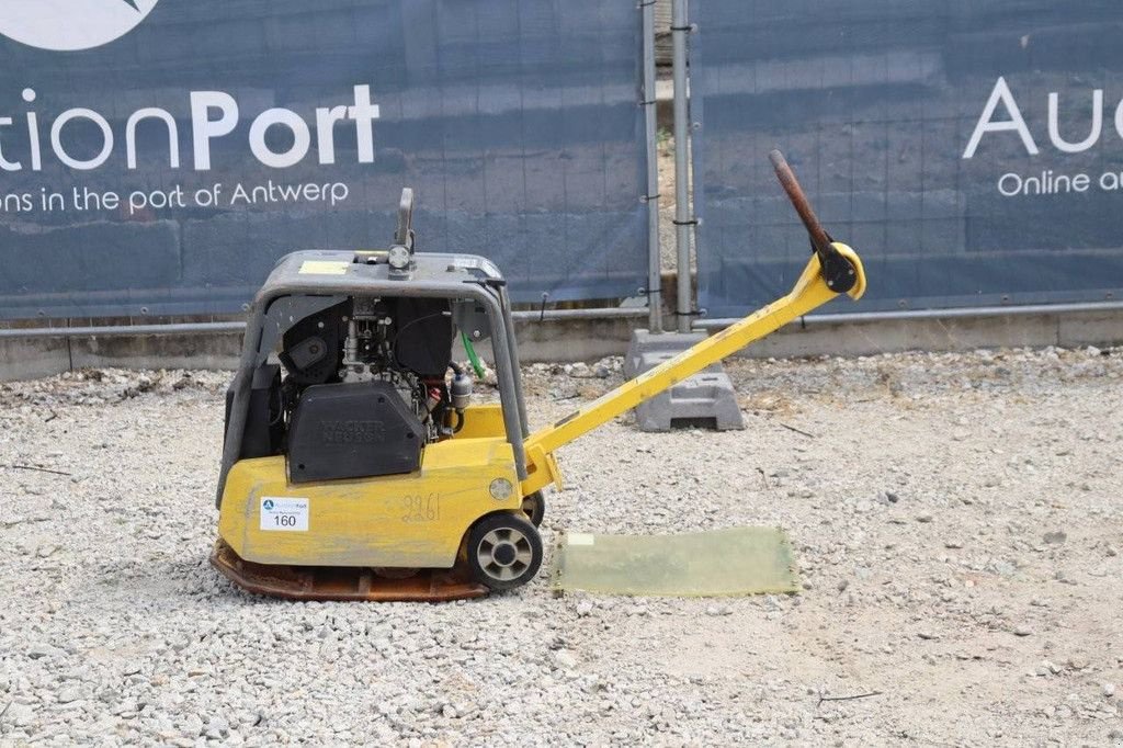Packer & Walze du type Sonstige Neuson DPU 3050, Gebrauchtmaschine en Antwerpen (Photo 2)