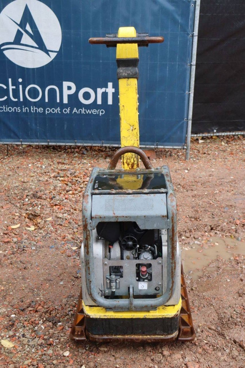 Packer & Walze za tip Sonstige Neuson DPU 5545, Gebrauchtmaschine u Antwerpen (Slika 8)