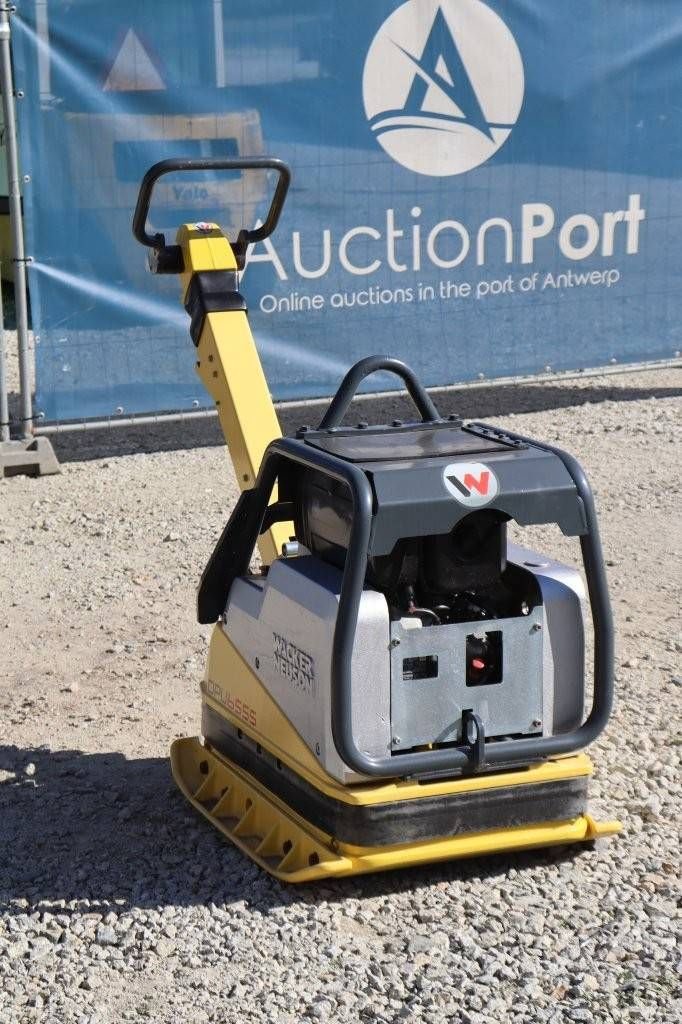 Packer & Walze Türe ait Sonstige Neuson DPU 6555, Gebrauchtmaschine içinde Antwerpen (resim 8)