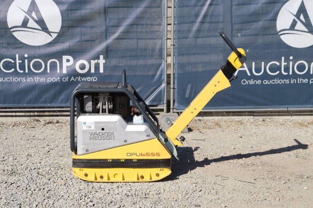 Packer & Walze Türe ait Sonstige Neuson DPU 6555, Gebrauchtmaschine içinde Antwerpen (resim 2)