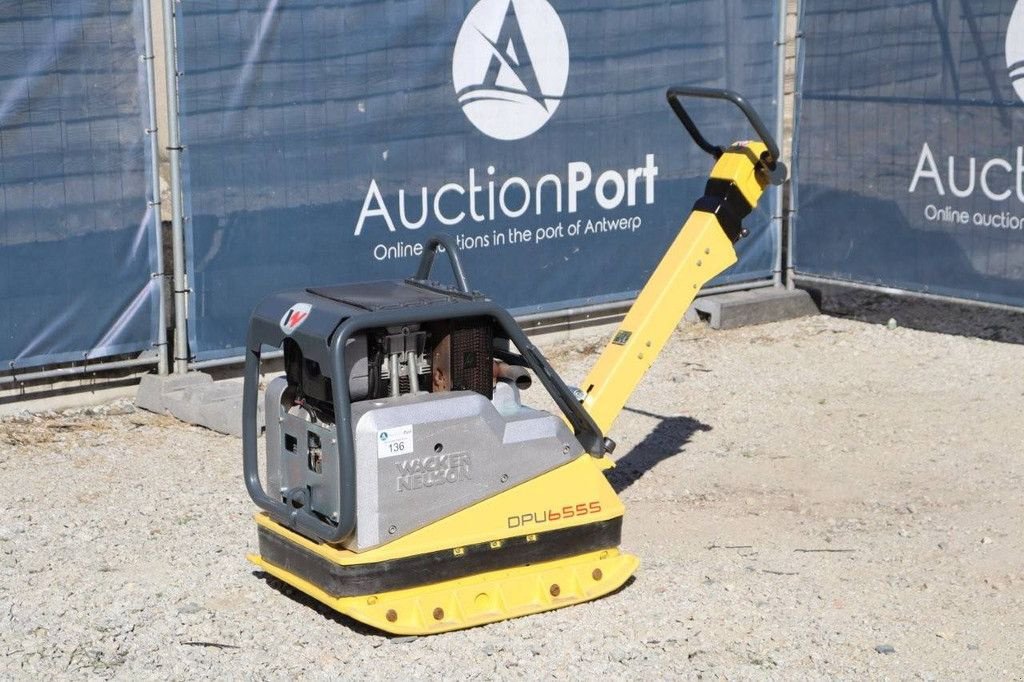 Packer & Walze Türe ait Sonstige Neuson DPU 6555, Gebrauchtmaschine içinde Antwerpen (resim 10)