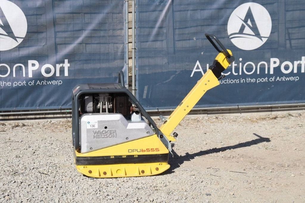 Packer & Walze Türe ait Sonstige Neuson DPU 6555, Gebrauchtmaschine içinde Antwerpen (resim 1)