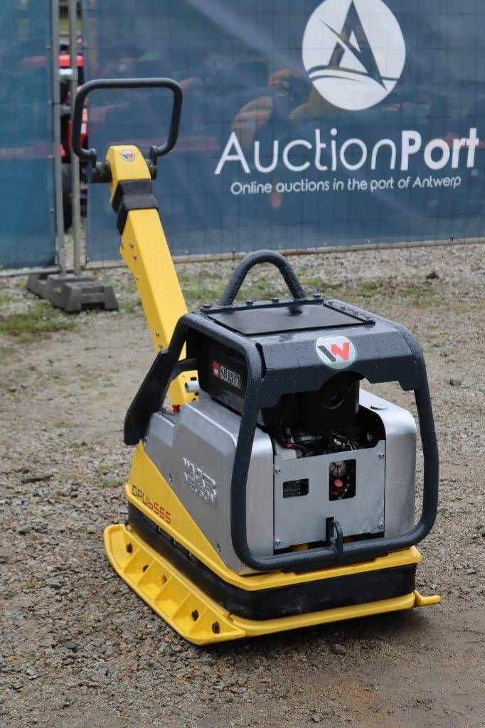 Packer & Walze Türe ait Sonstige Neuson DPU 6555, Gebrauchtmaschine içinde Antwerpen (resim 8)