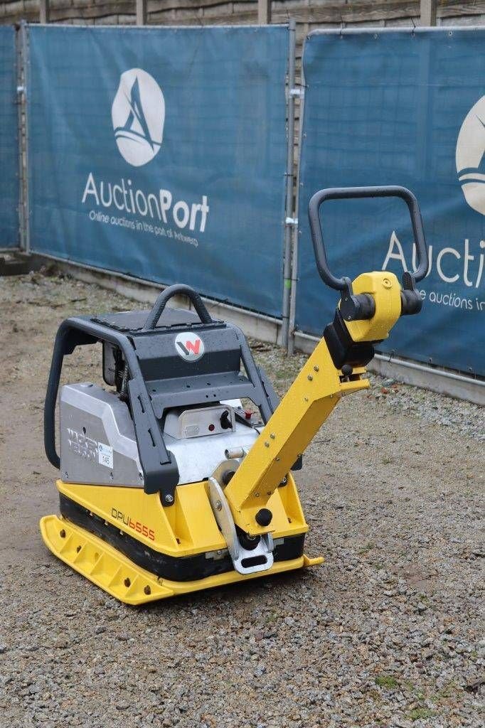 Packer & Walze des Typs Sonstige Neuson DPU 6555, Gebrauchtmaschine in Antwerpen (Bild 4)