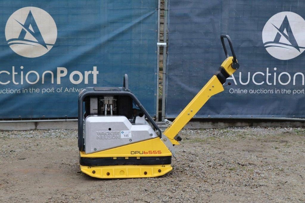 Packer & Walze des Typs Sonstige Neuson DPU 6555, Gebrauchtmaschine in Antwerpen (Bild 1)