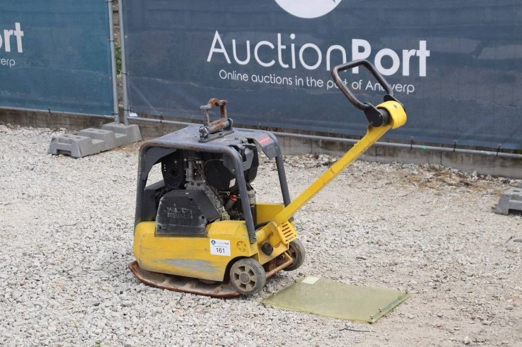 Packer & Walze Türe ait Sonstige Neuson DPU3050, Gebrauchtmaschine içinde Antwerpen (resim 3)