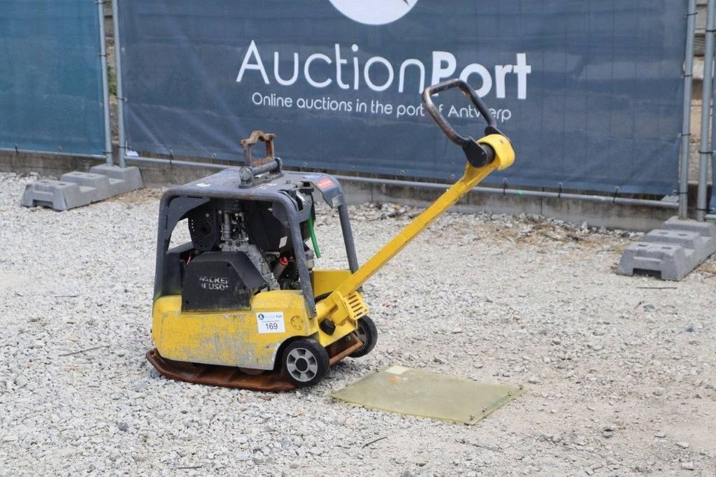 Packer & Walze tipa Sonstige Neuson DPU3050, Gebrauchtmaschine u Antwerpen (Slika 3)