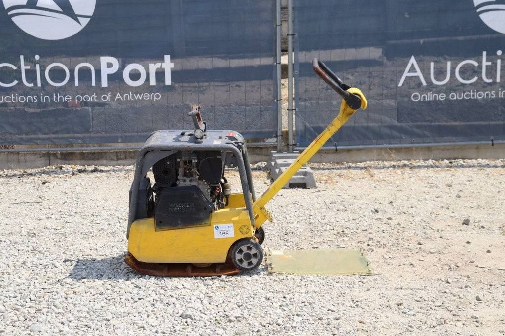 Packer & Walze del tipo Sonstige Neuson DPU3050, Gebrauchtmaschine In Antwerpen (Immagine 2)