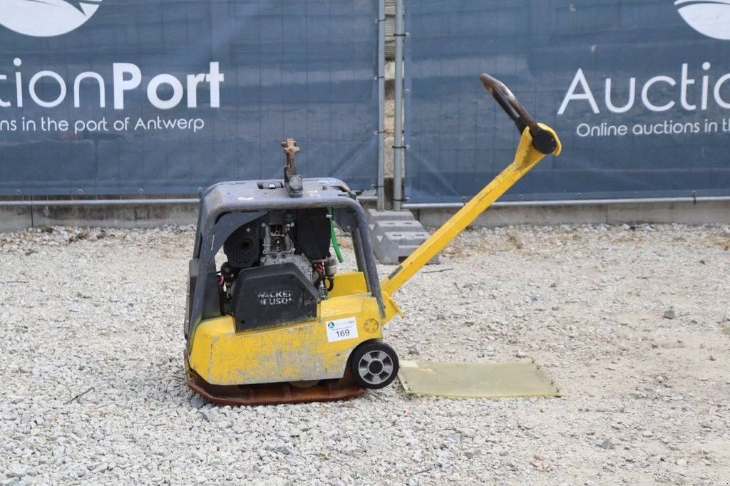 Packer & Walze za tip Sonstige Neuson DPU3050, Gebrauchtmaschine u Antwerpen (Slika 1)