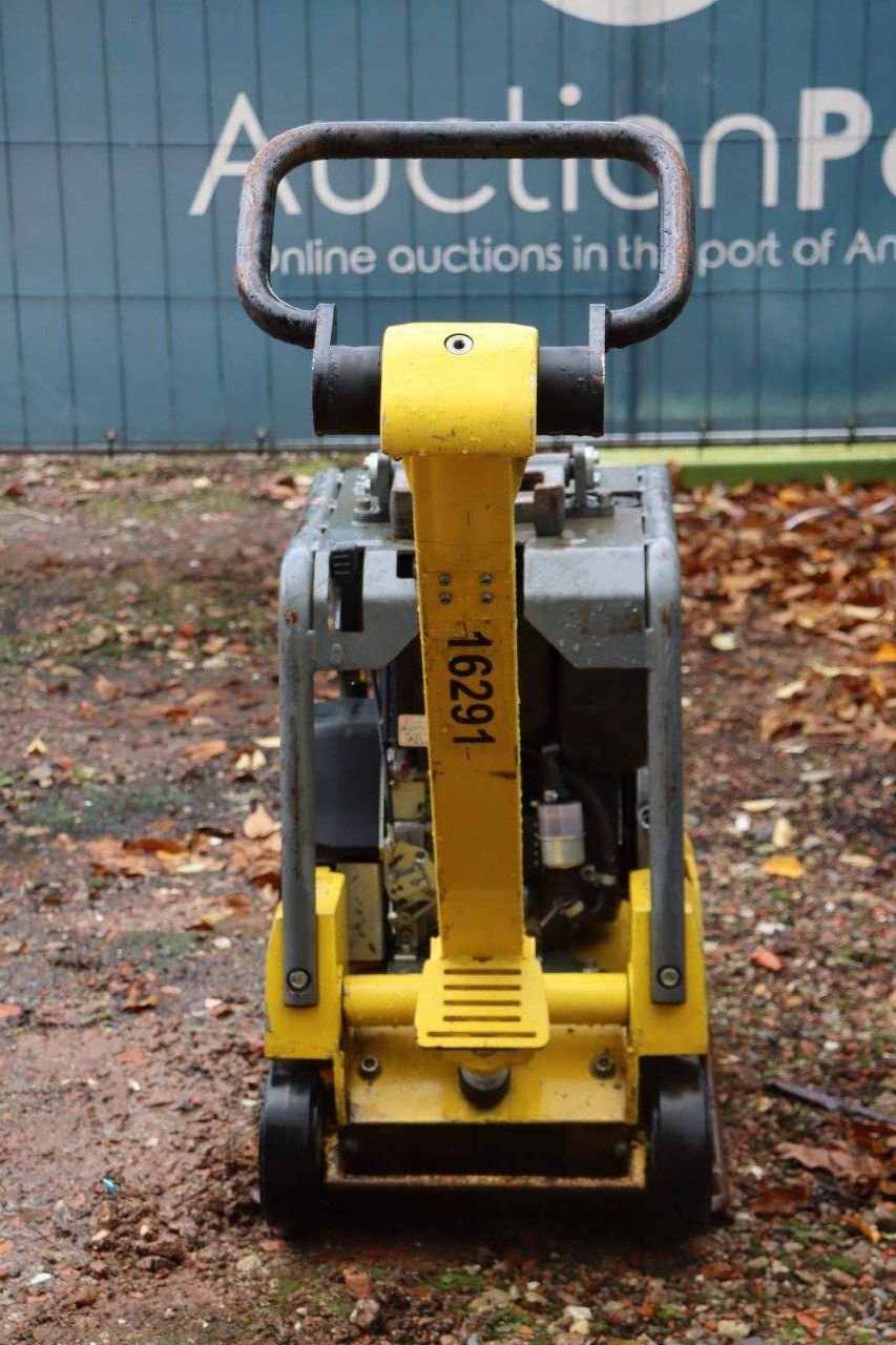 Packer & Walze du type Sonstige Neuson DPU3050, Gebrauchtmaschine en Antwerpen (Photo 4)